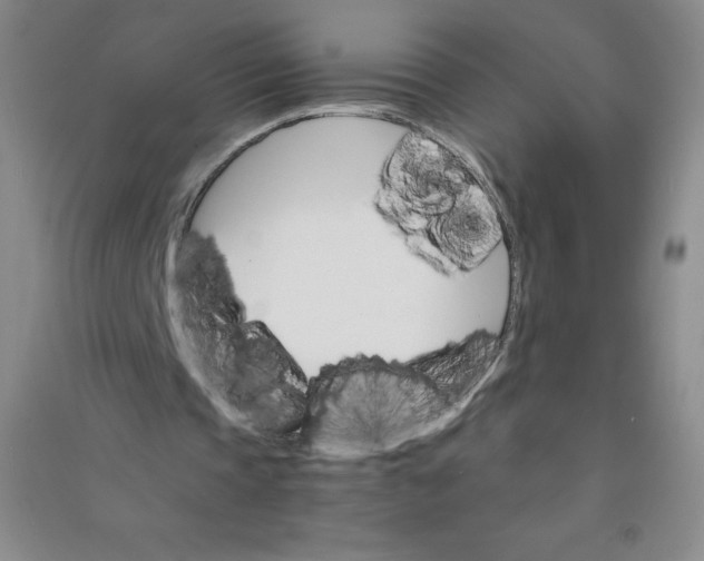 X0000090910337200708201747