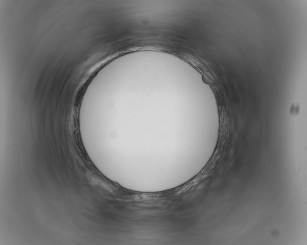 X0000090910338200708201747