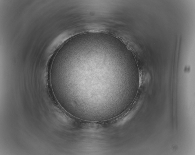 X0000090910339200708201747