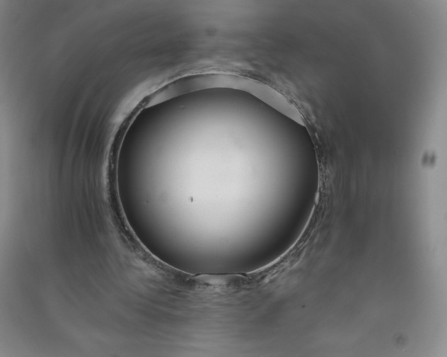 X0000090910340200708201747