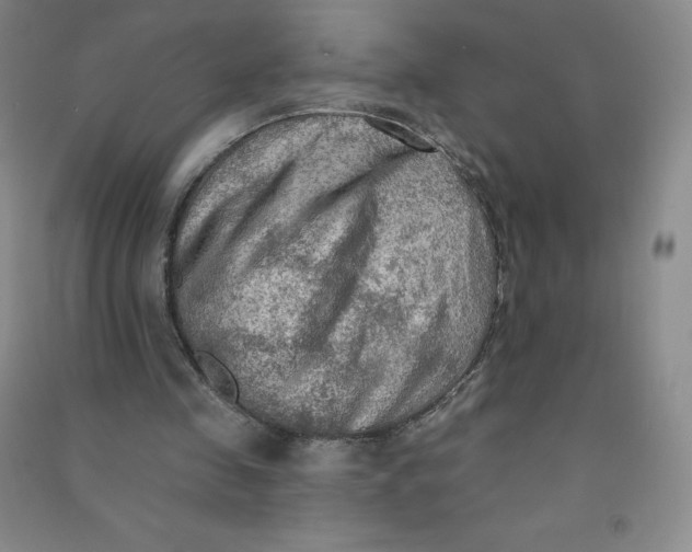 X0000090910341200708201747