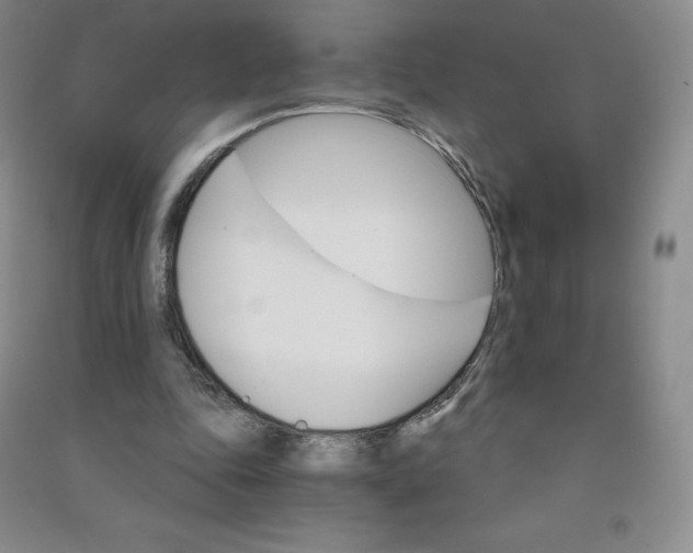 X0000090910343200708201747