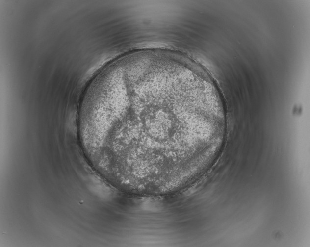 X0000090910345200708201747