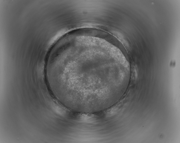 X0000090910346200708201747