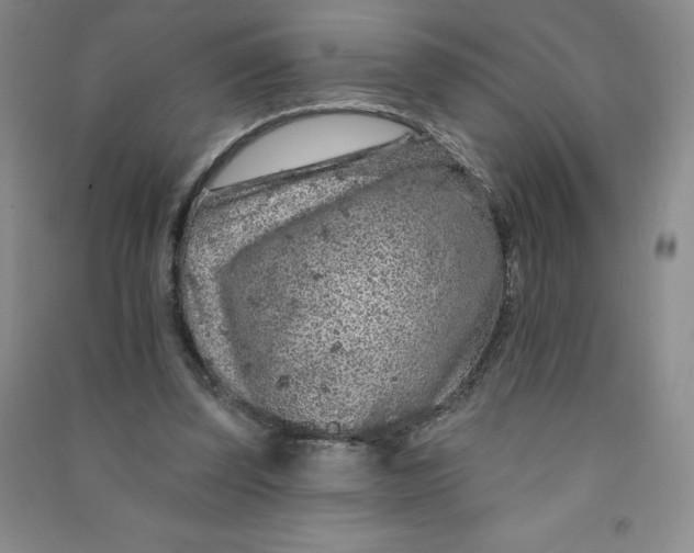 X0000090910347200708201747