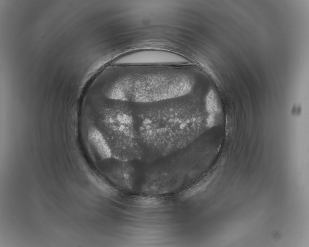 X0000090910349200708201747