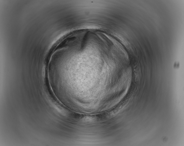 X0000090910350200708201747