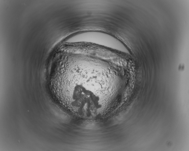 X0000090910351200708201747