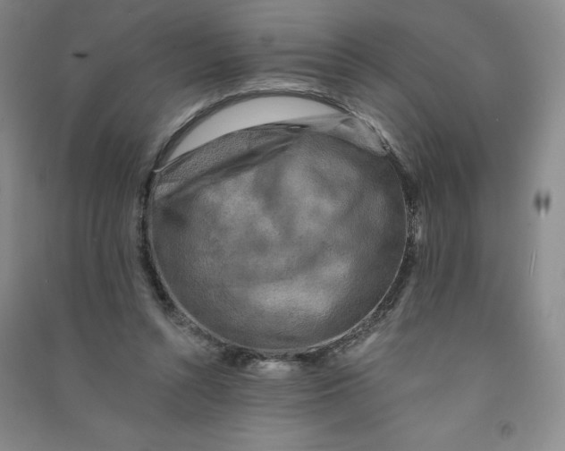 X0000090910352200708201747