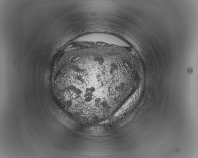 X0000090910353200708201747