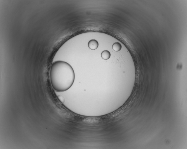 X0000090910354200708201747