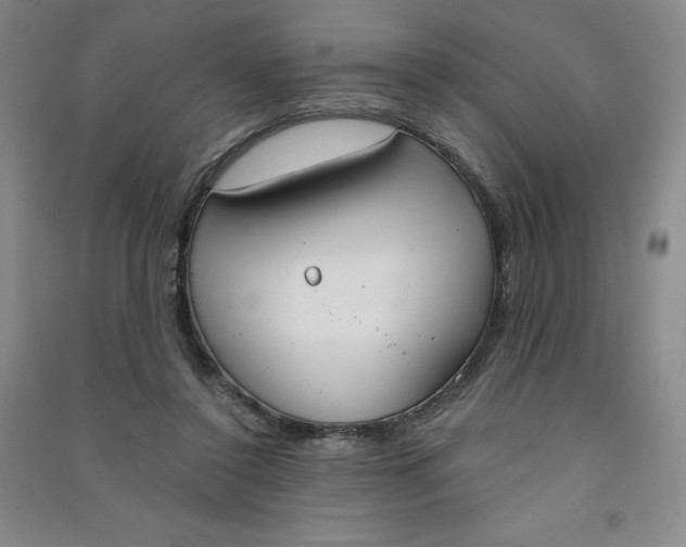 X0000090910356200708201747