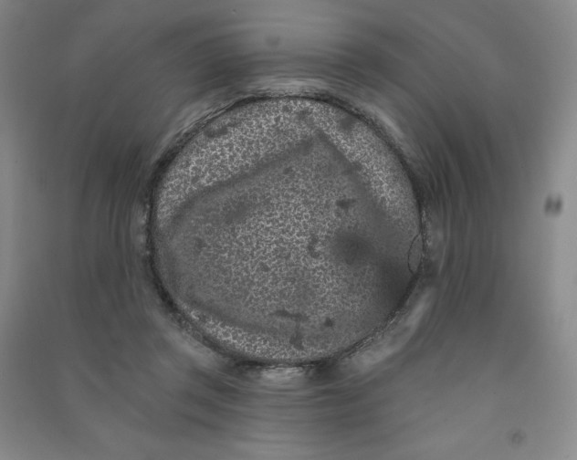 X0000090910357200708201747