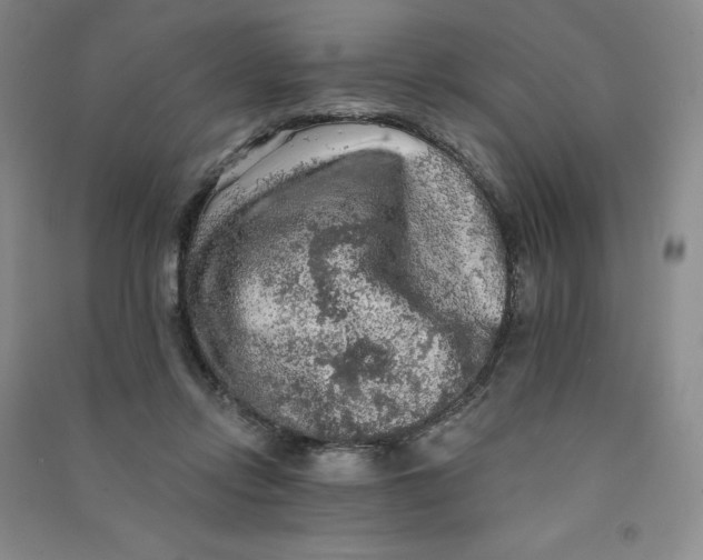 X0000090910358200708201747