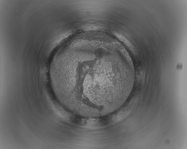 X0000090910359200708201747