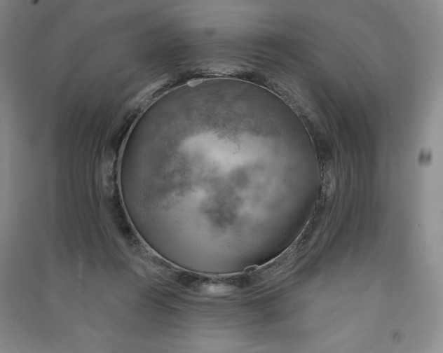 X0000090910360200708201747