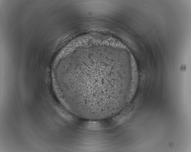 X0000090910361200708201747