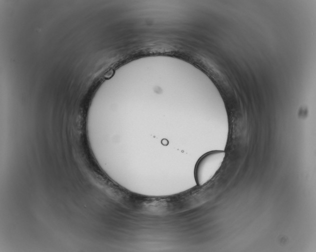 X0000090910362200708201747