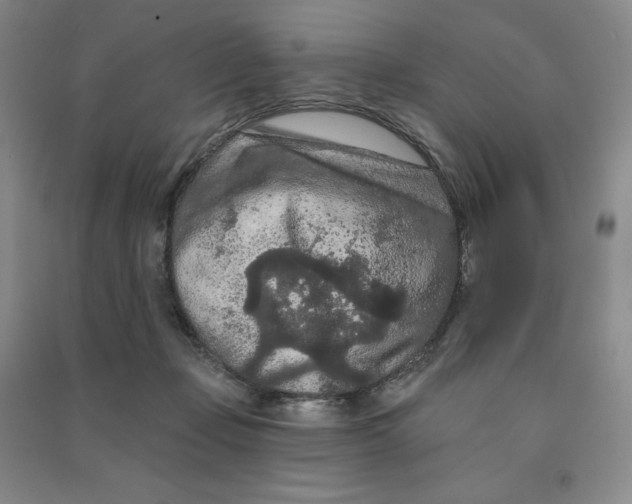 X0000090910365200708201747