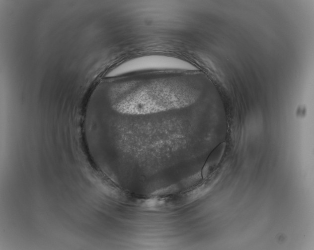 X0000090910366200708201747