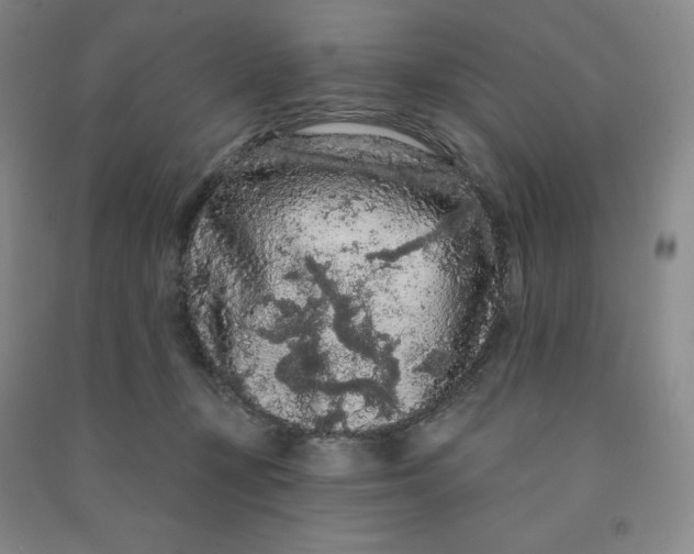 X0000090910367200708201747