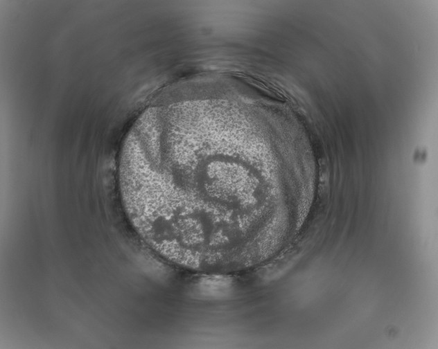 X0000090910369200708201747