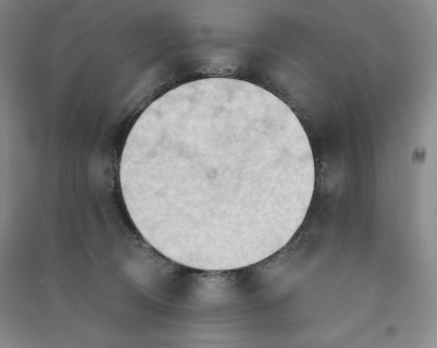 X0000090910370200708201747