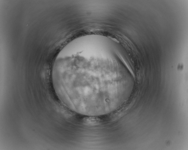 X0000090910372200708201747