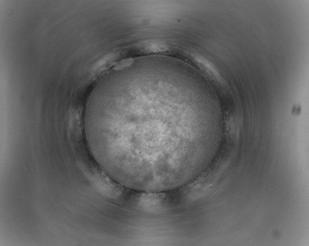 X0000090910373200708201747