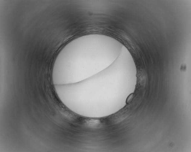 X0000090910374200708201747