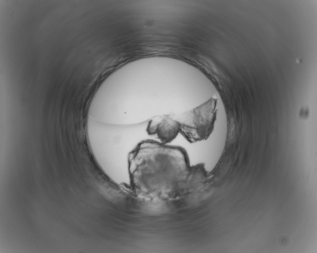 X0000090910377200708201747