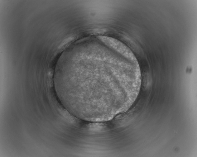 X0000090910378200708201747