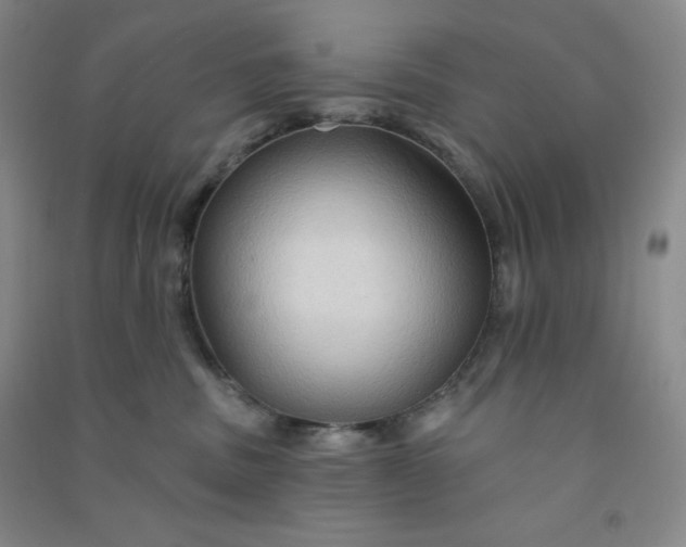 X0000090910379200708201747