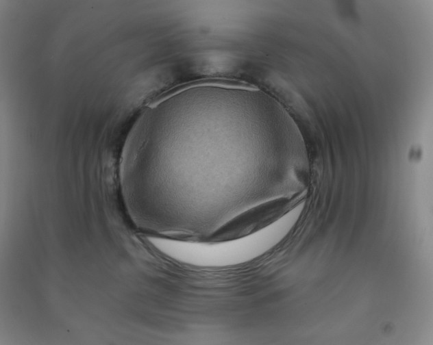 X0000090910380200708201747