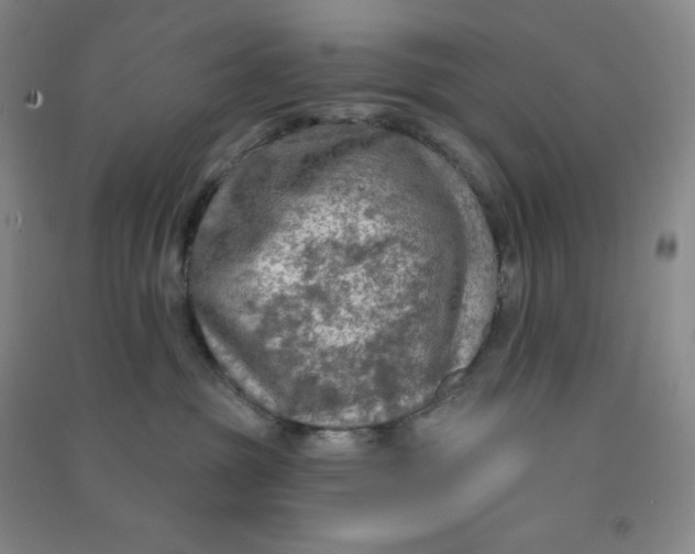 X0000090910381200708201747