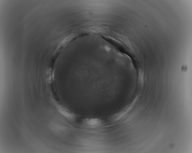 X0000090910383200708201747