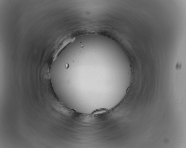 X0000090910384200708201747