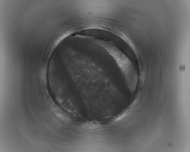 X0000090910386200708201747