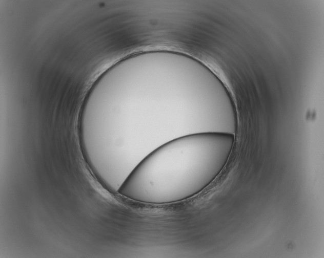 X0000090910389200708201747