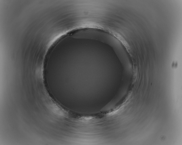 X0000090910391200708201747