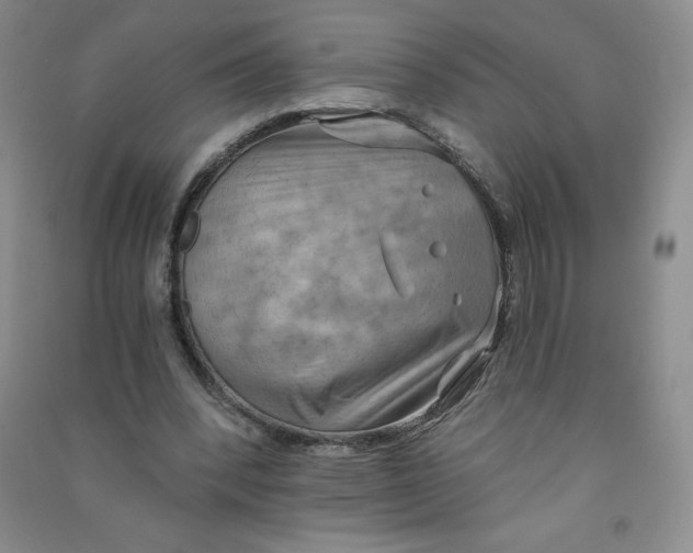 X0000090910392200708201747