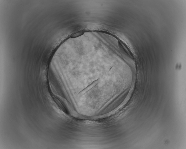 X0000090910393200708201747