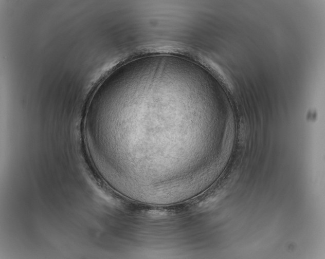 X0000090910394200708201747