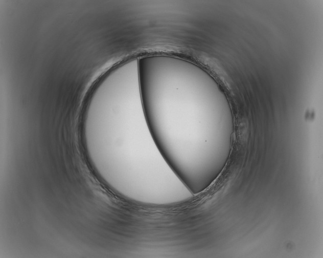 X0000090910395200708201747