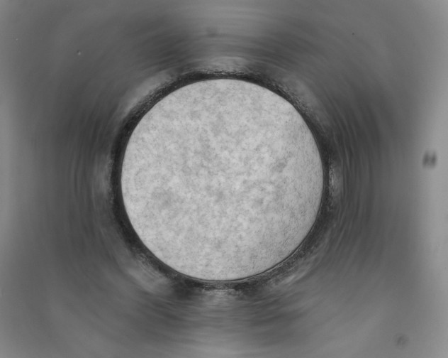 X0000090910396200708201746