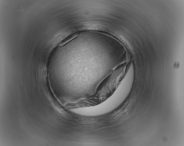 X0000090910397200708201746