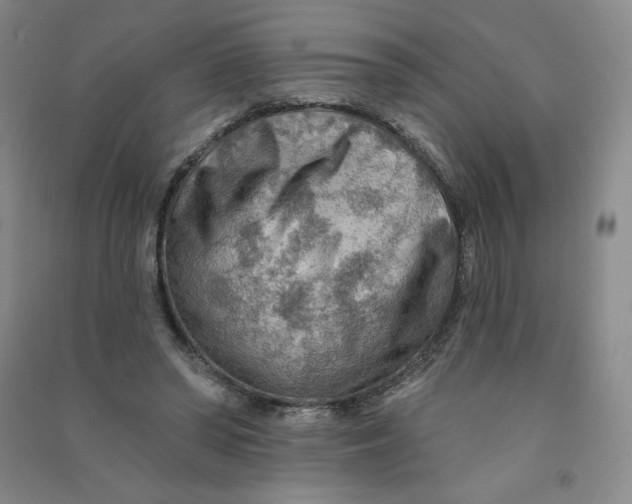 X0000090910398200708201746