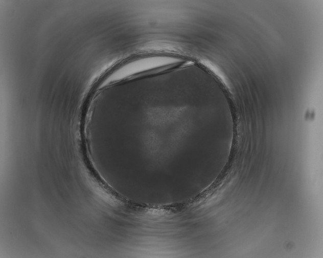 X0000090910399200708201746