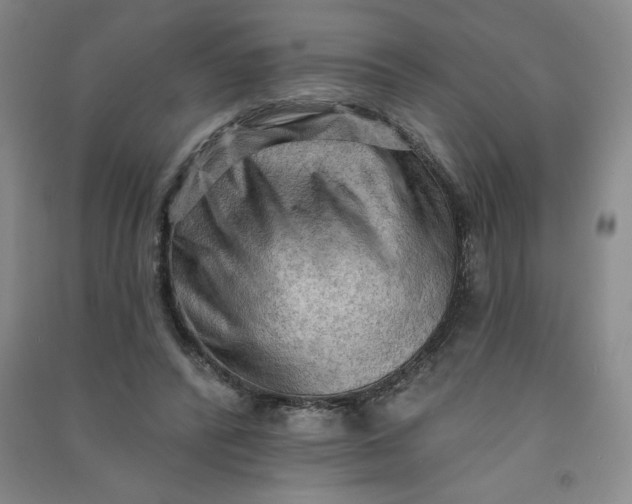 X0000090910400200708201746