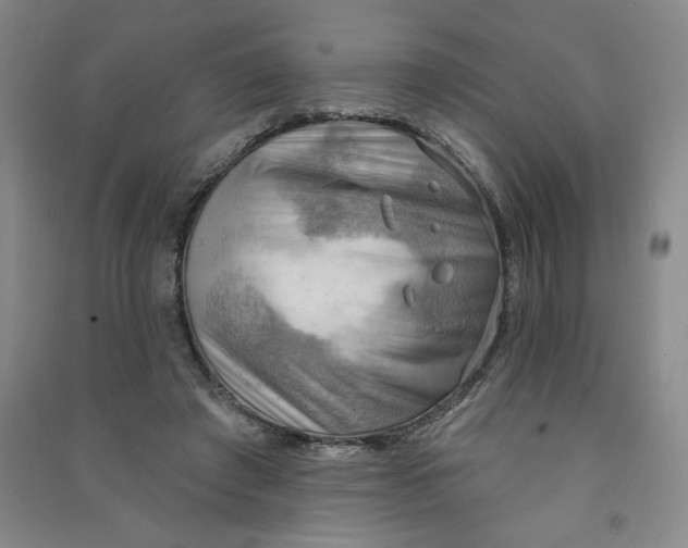 X0000090910401200708201746